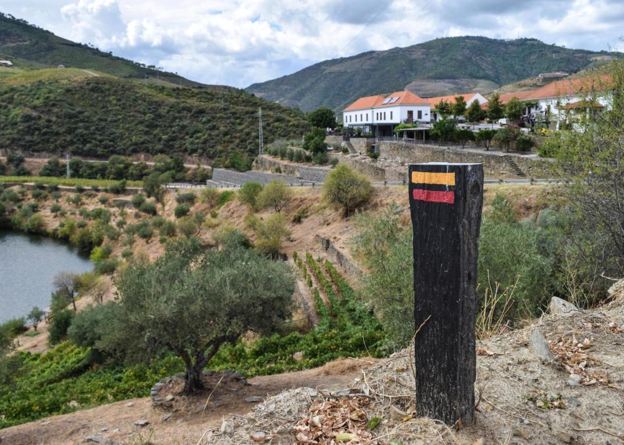 Quinta Do Tedo Bed & Breakfast Folgosa  Exterior photo