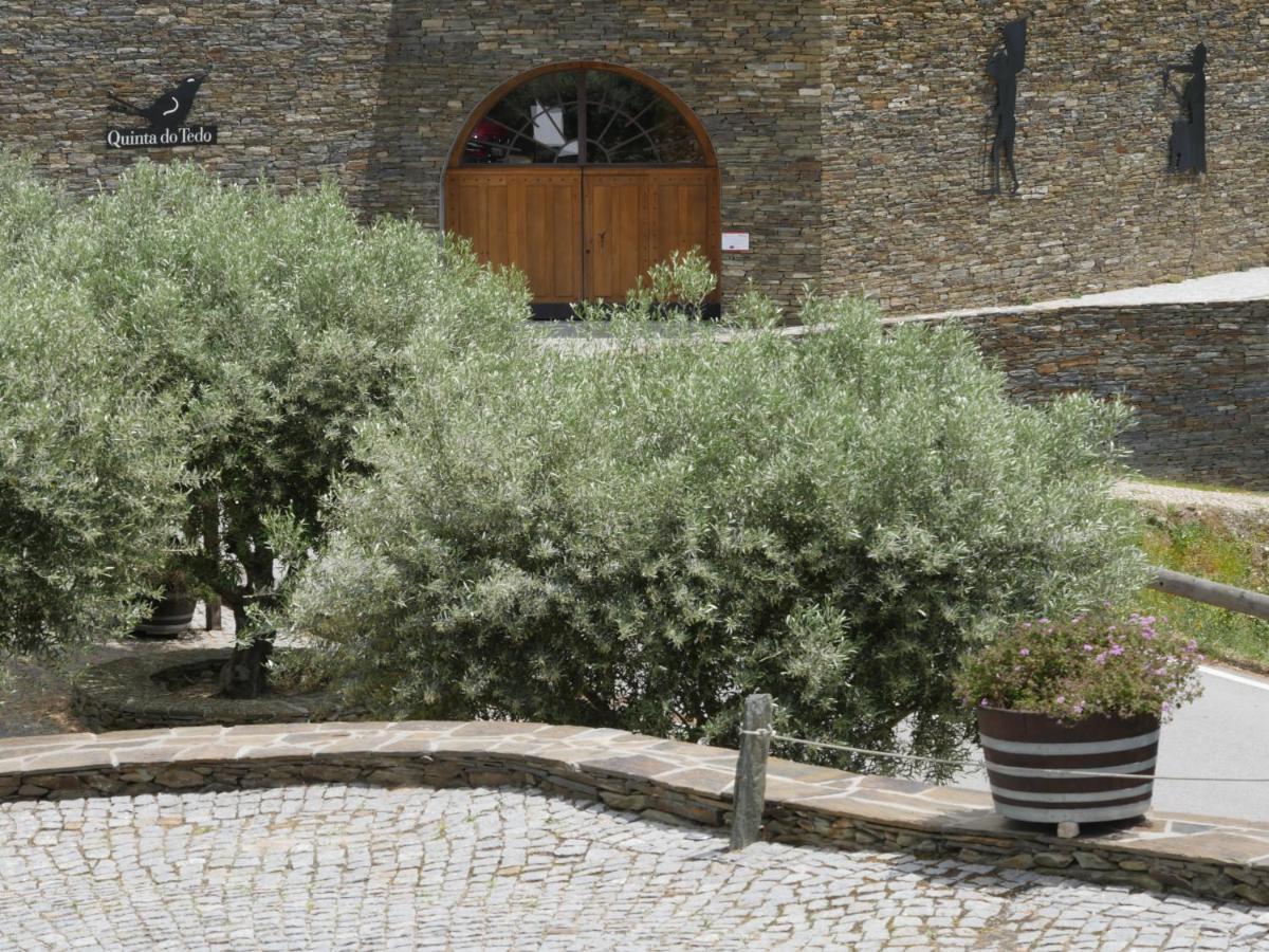 Quinta Do Tedo Bed & Breakfast Folgosa  Exterior photo