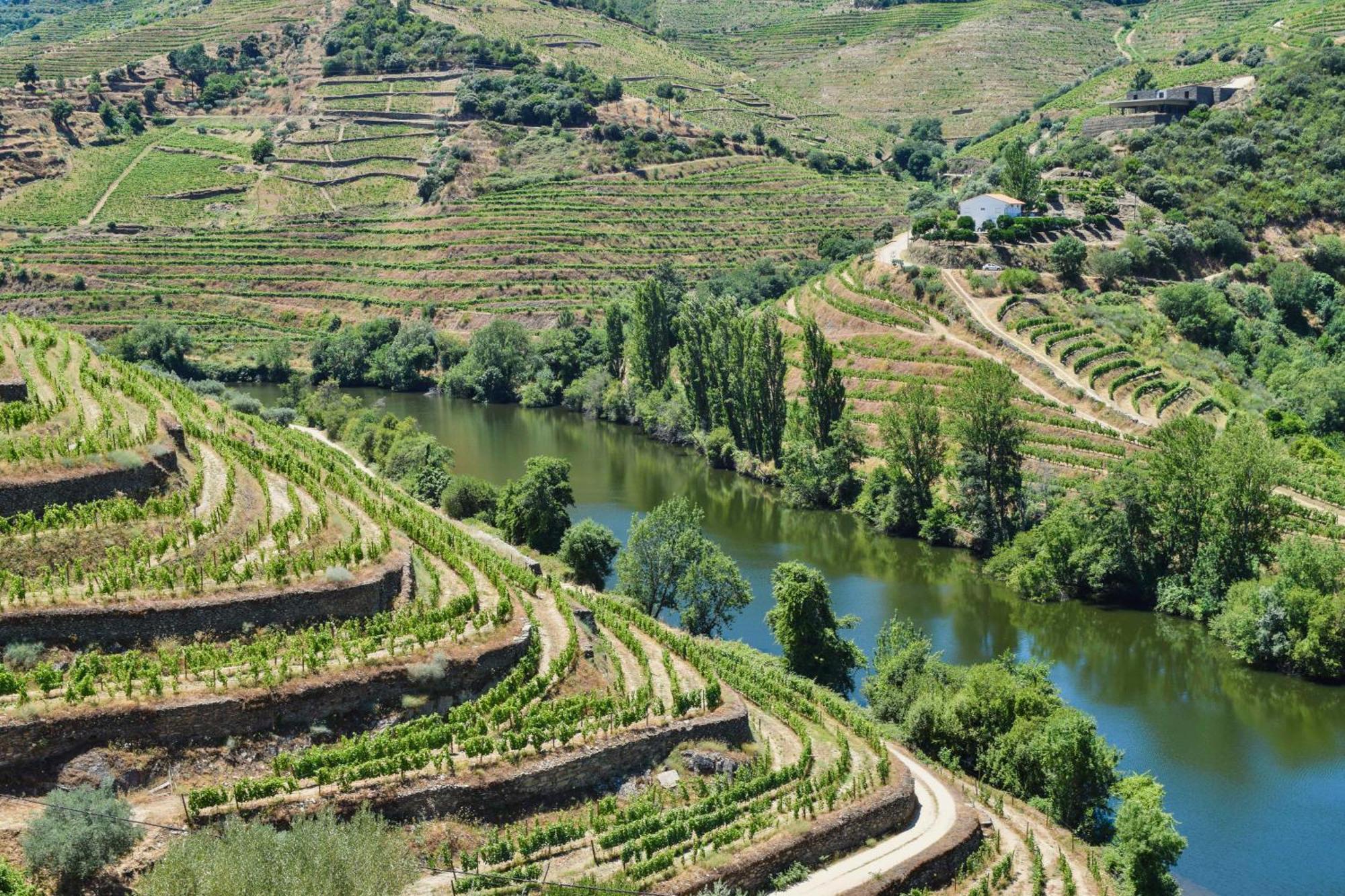 Quinta Do Tedo Bed & Breakfast Folgosa  Exterior photo