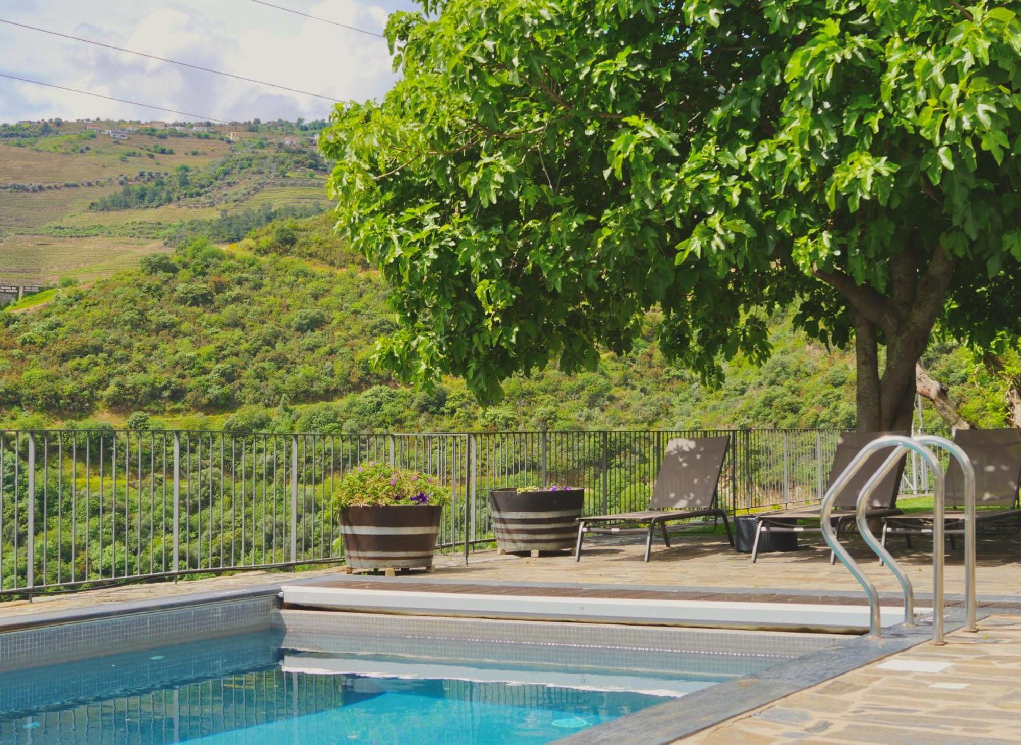 Quinta Do Tedo Bed & Breakfast Folgosa  Exterior photo