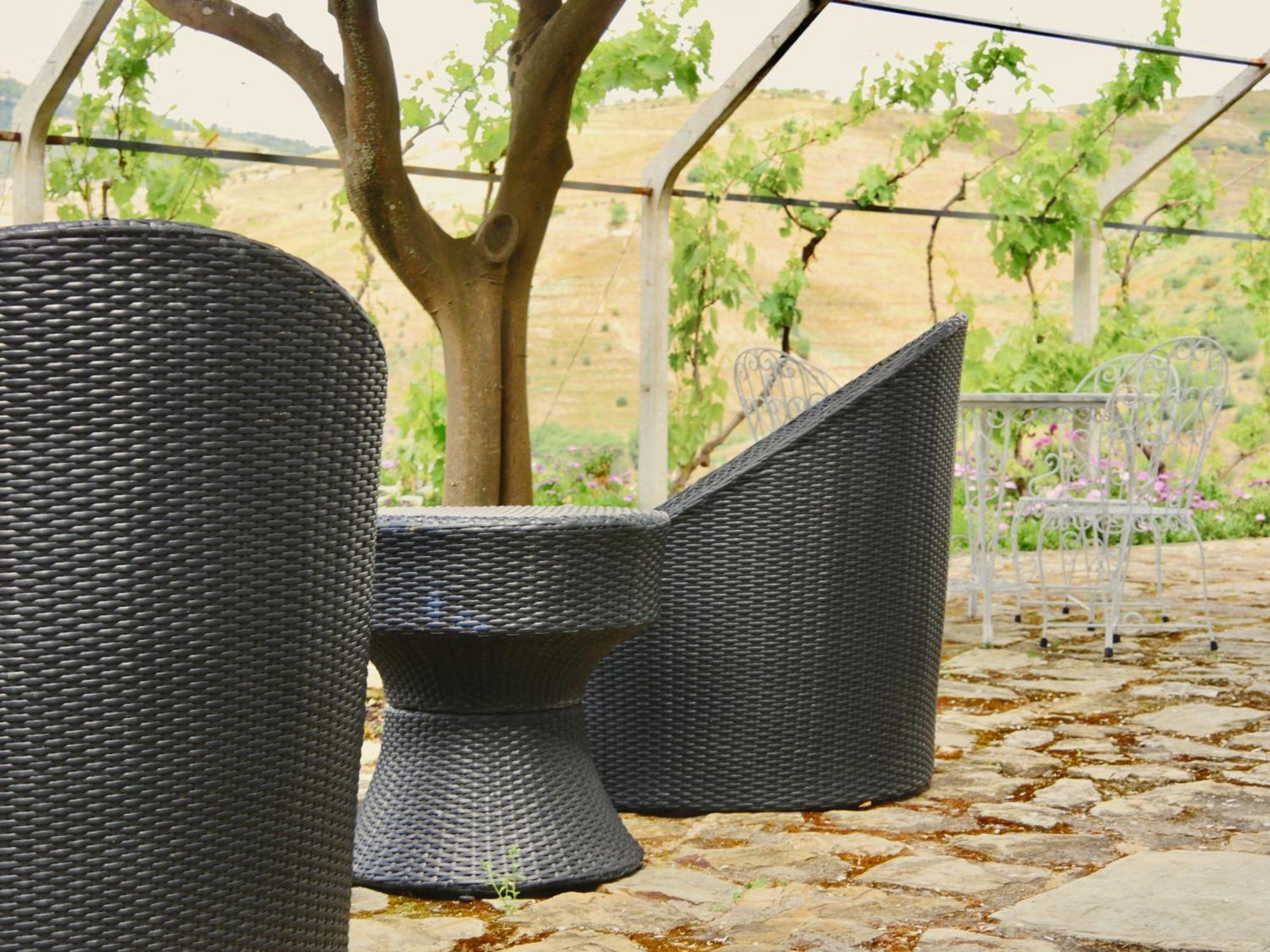 Quinta Do Tedo Bed & Breakfast Folgosa  Exterior photo