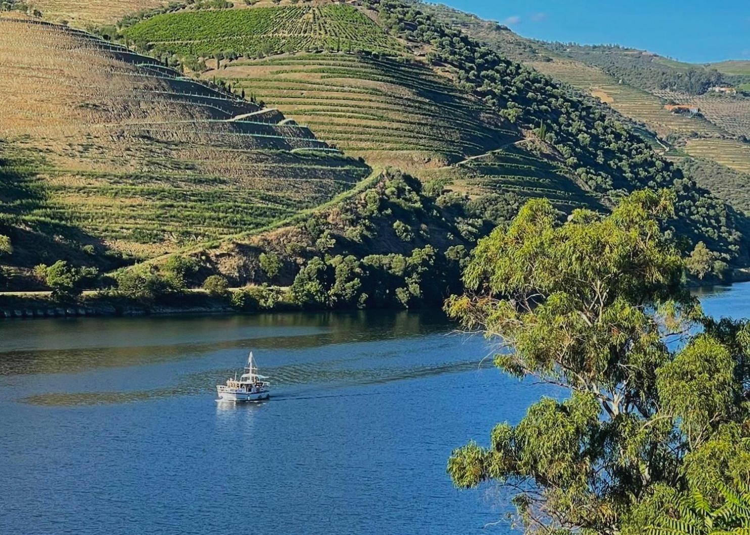 Quinta Do Tedo Bed & Breakfast Folgosa  Exterior photo