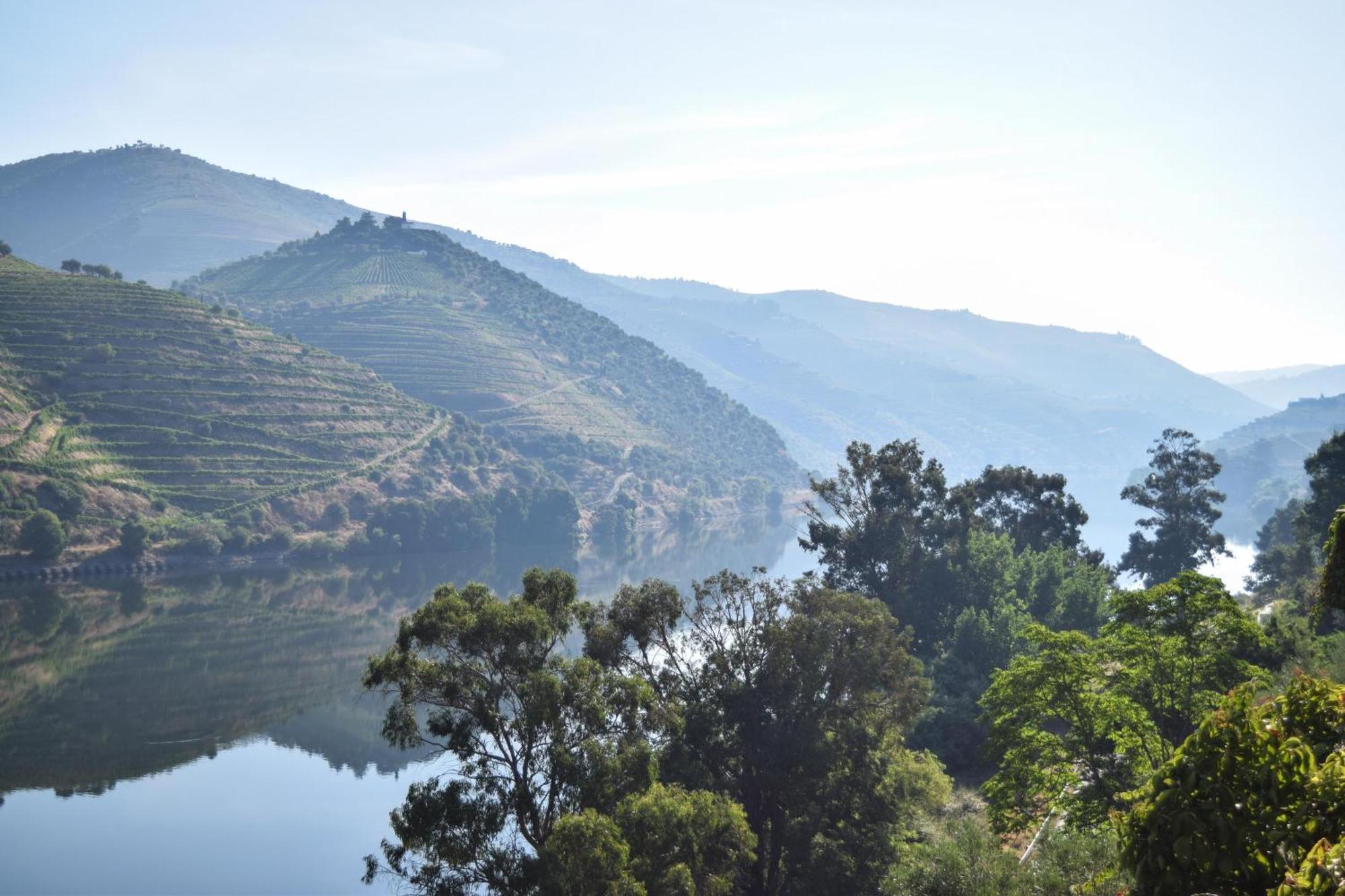 Quinta Do Tedo Bed & Breakfast Folgosa  Exterior photo