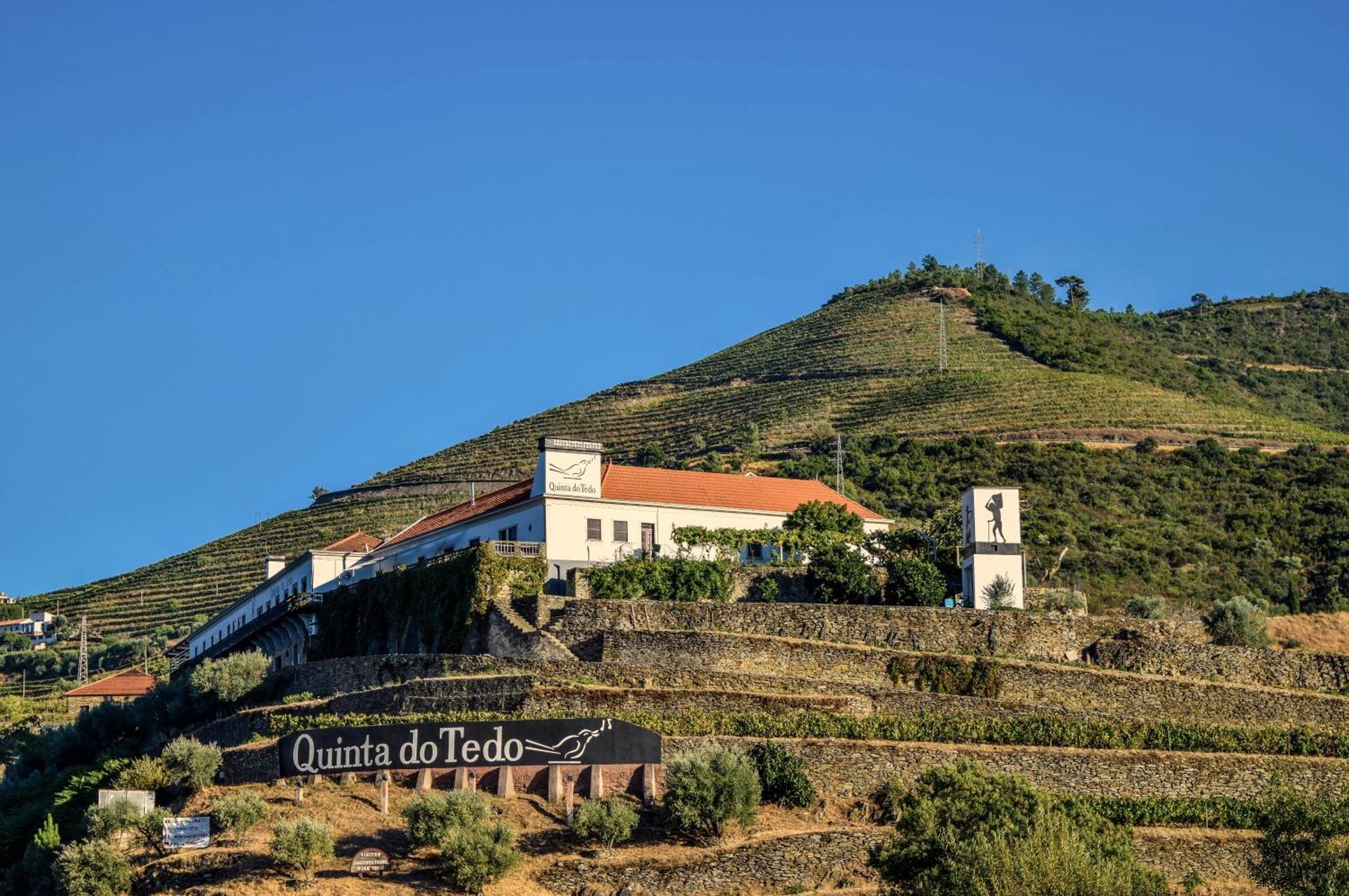 Quinta Do Tedo Bed & Breakfast Folgosa  Exterior photo