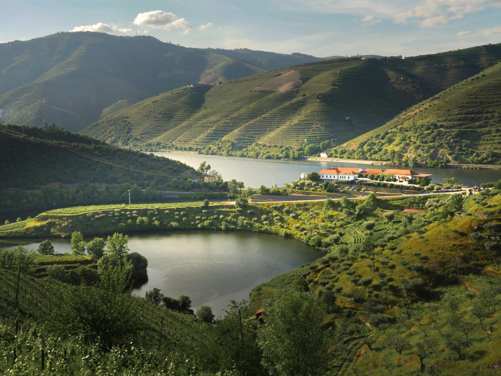 Quinta Do Tedo Bed & Breakfast Folgosa  Exterior photo